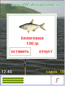 Мобильная Русская рыбалка 2.5 - Скриншот из игры Мобильная Русская рыбалка 2.5